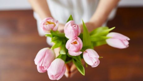 Pink Tulips