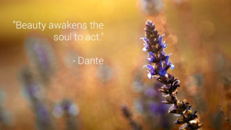 Beauty awakens the soul to act Beauty awakens the soul to act