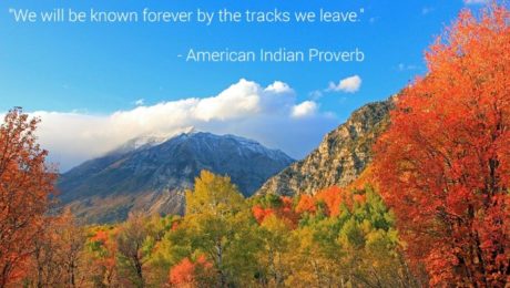 We will be known forever by the tracks we leave
