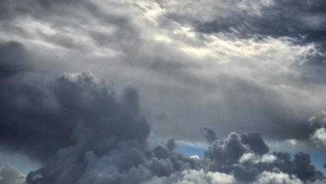 cloudy bay